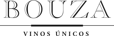 Bouza